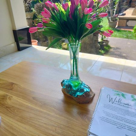 Dika Accommodation Ubud 外观 照片